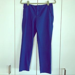 Aqua Cobalt Pant